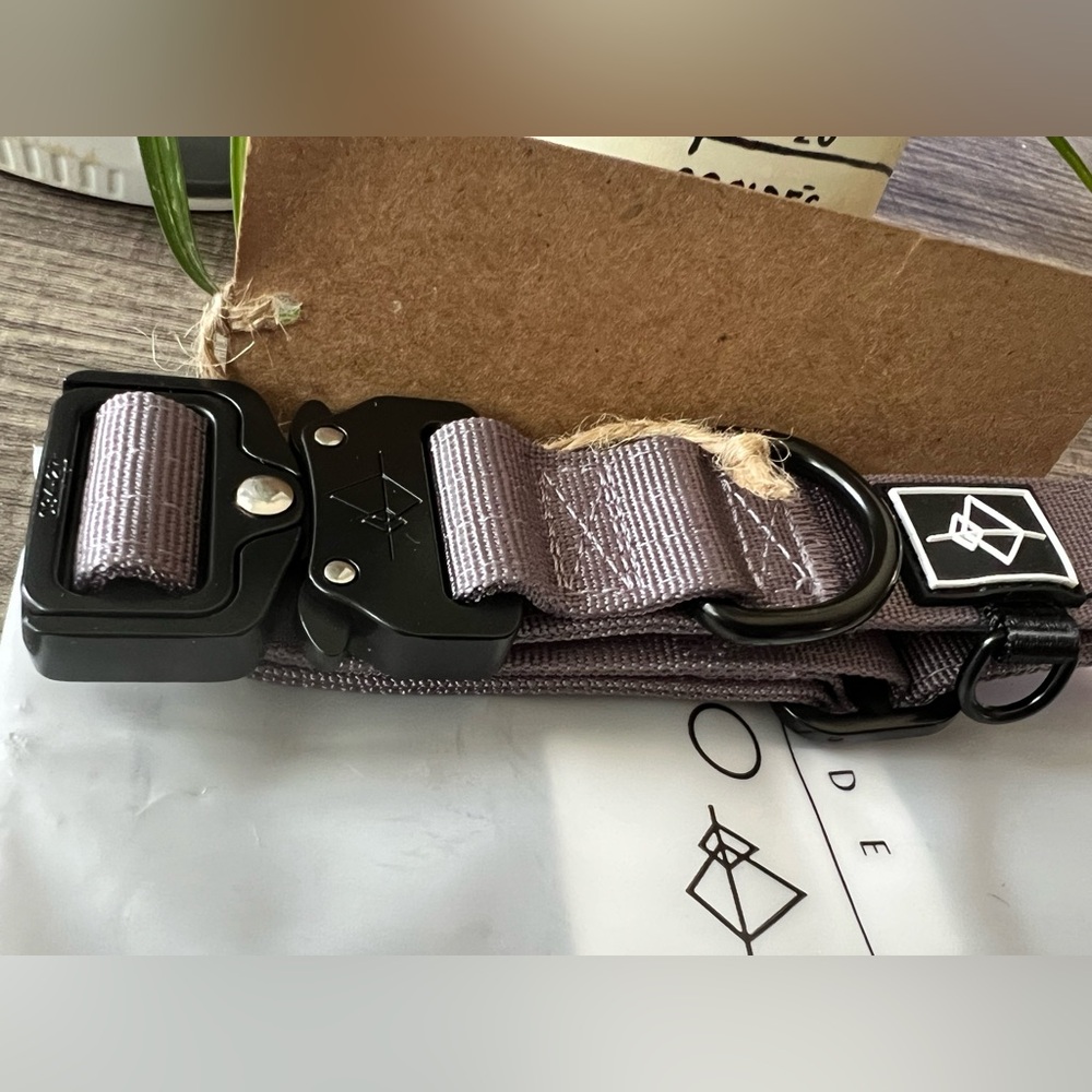 ROAM Black and Lilac Dog Collar with Metal D-Rings